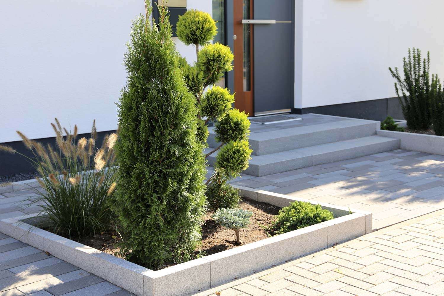 plants in patio area